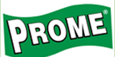 prome logo 400x200